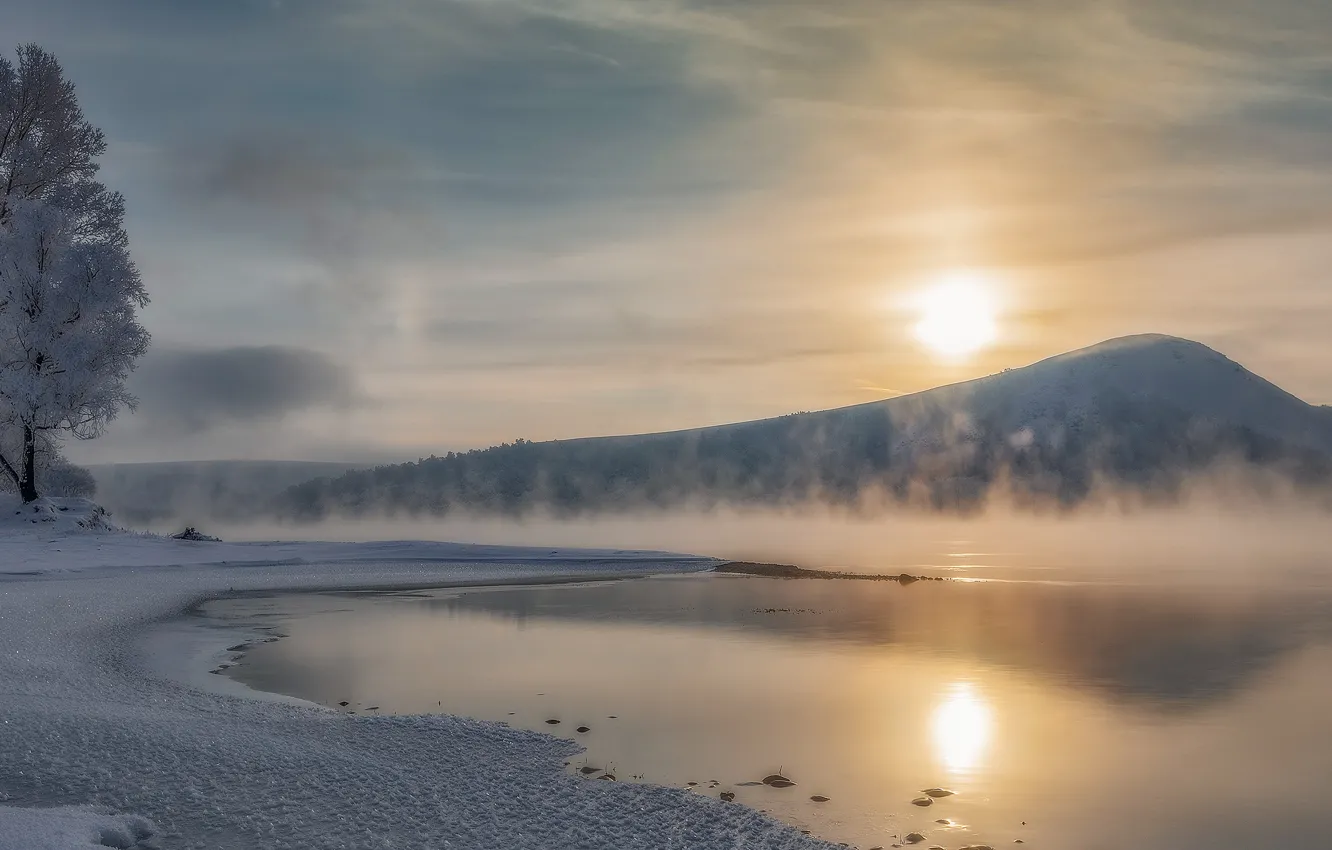 Photo wallpaper winter, the sun, snow, trees, landscape, nature, fog, lake