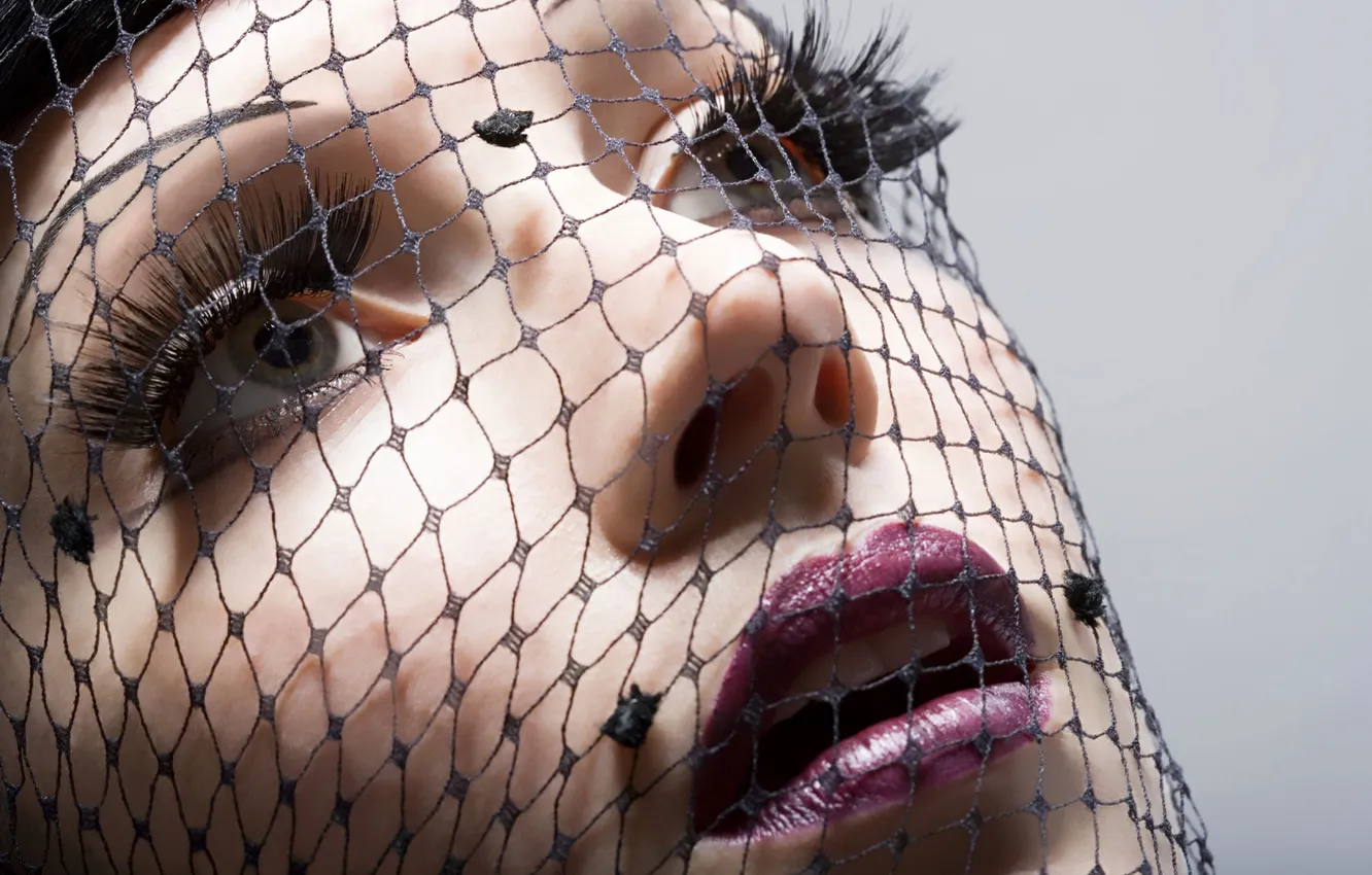 Photo wallpaper look, face, lips, veil