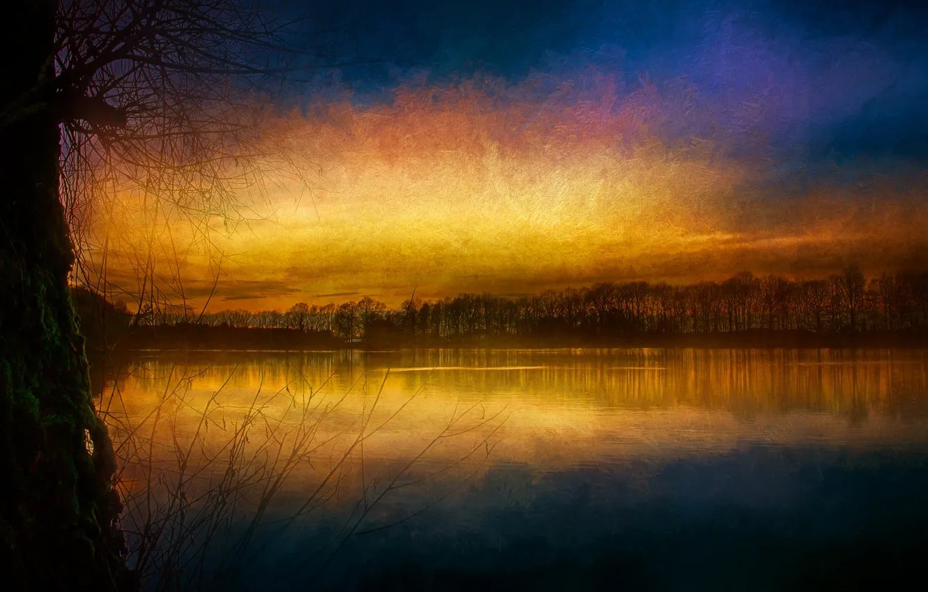 Photo wallpaper the sky, trees, lake, texture