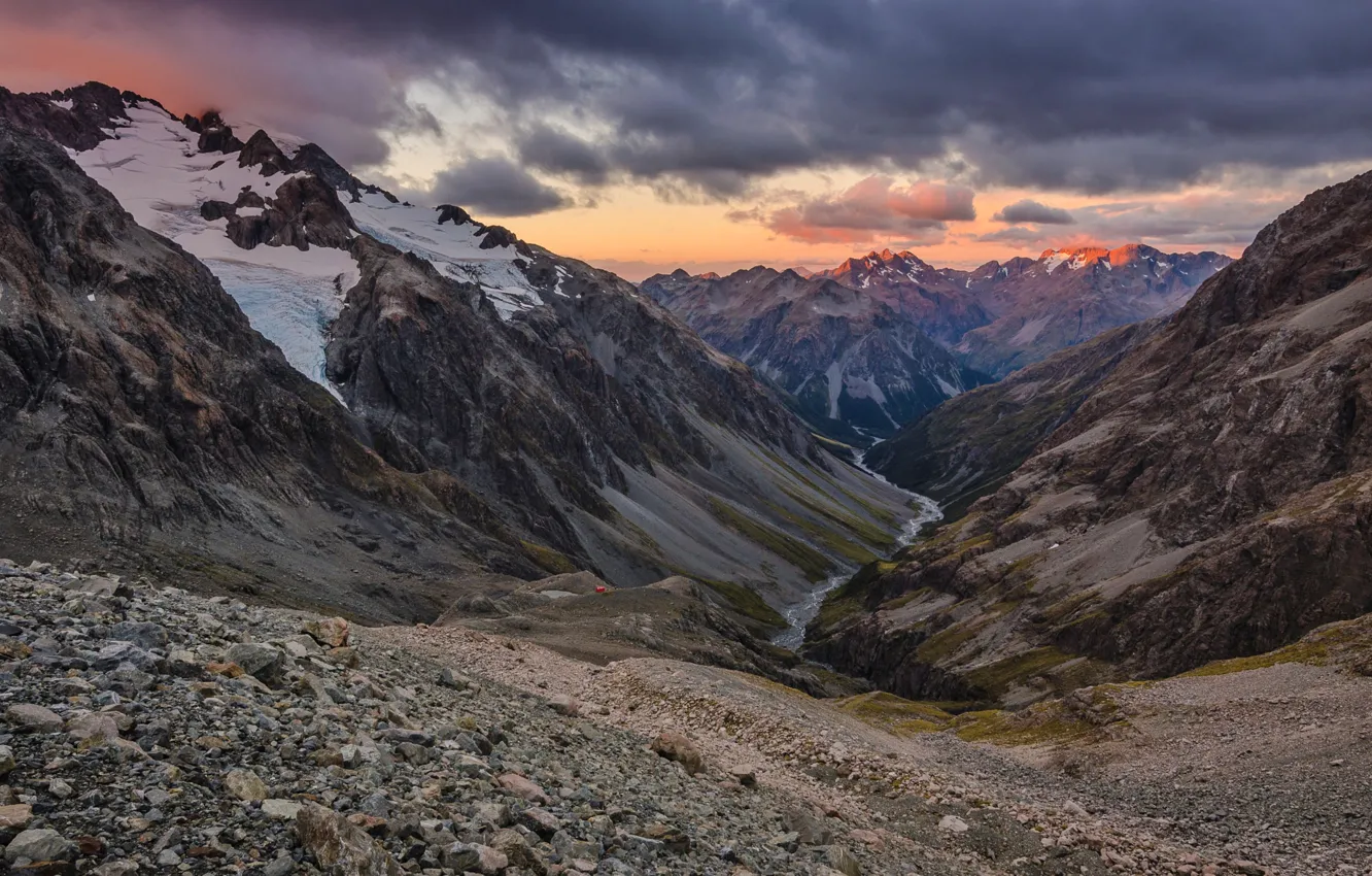 Photo wallpaper forest, landscape, mountains, nature, panorama