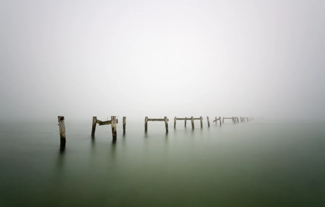 Photo wallpaper trees, fog, lake, posts, wood, lake, fog, pillars