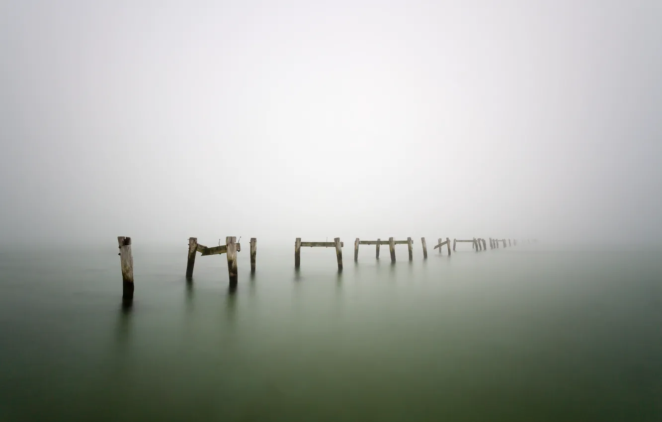 Photo wallpaper fog, lake, tree, posts, wood, lake, fog, pillars
