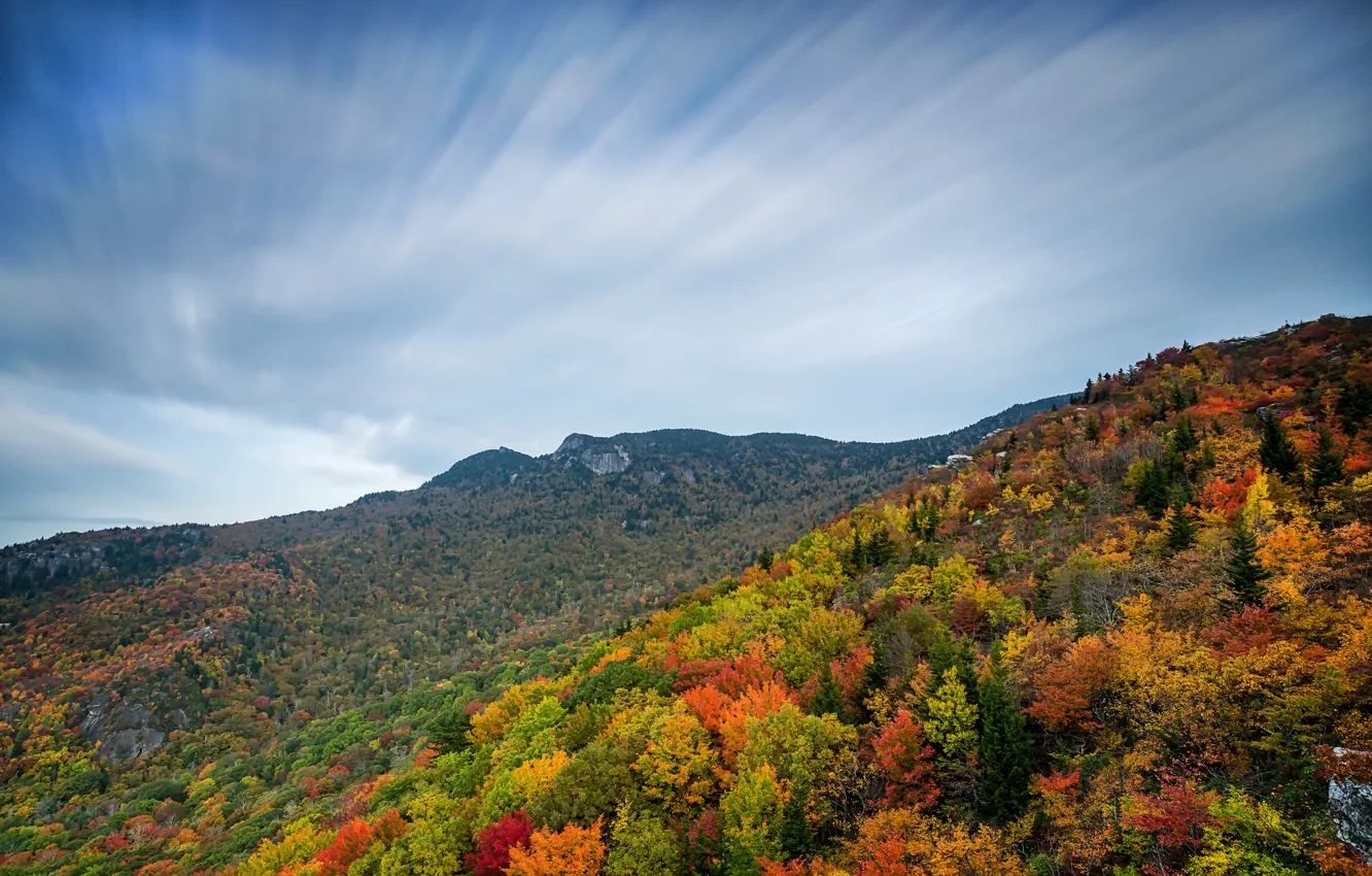 Photo wallpaper autumn, forest, the sky, clouds, mountains, slope