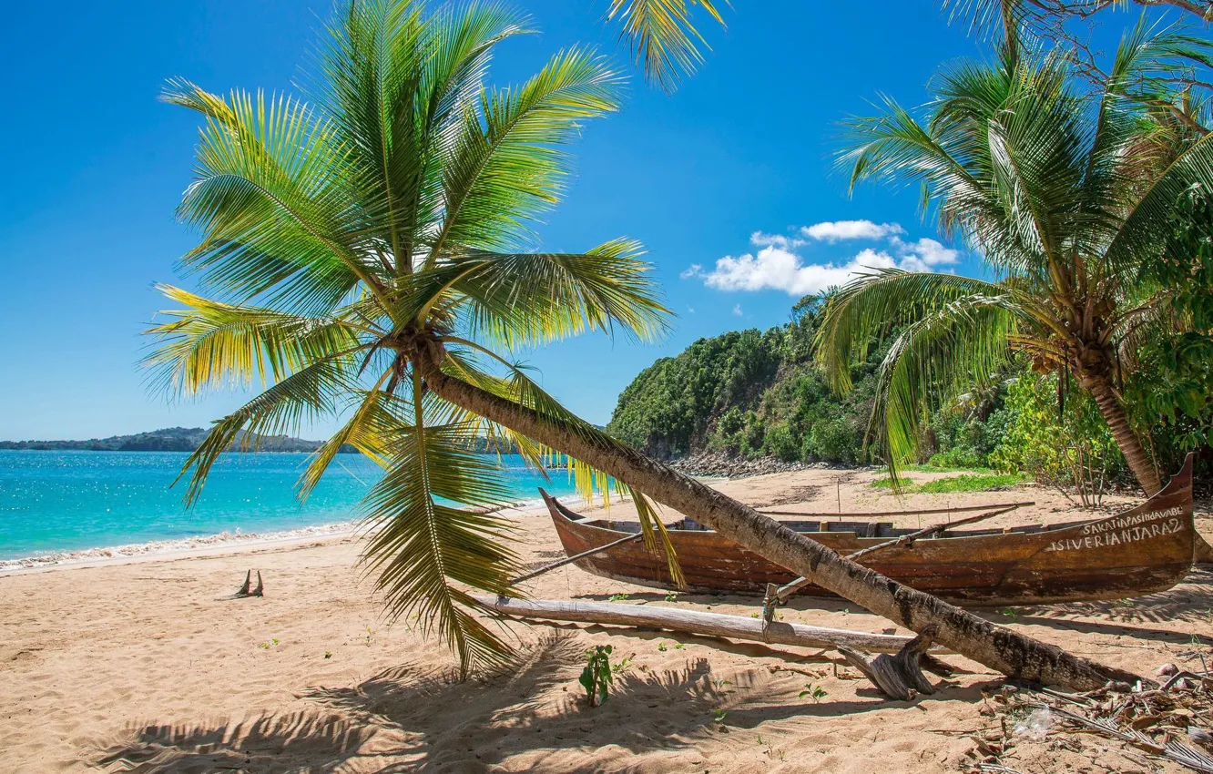 Photo wallpaper beach, tropics, palm trees, the ocean, boat, island, exotic, Madagascar