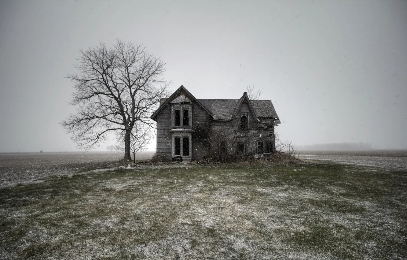 Photo wallpaper field, nature, home