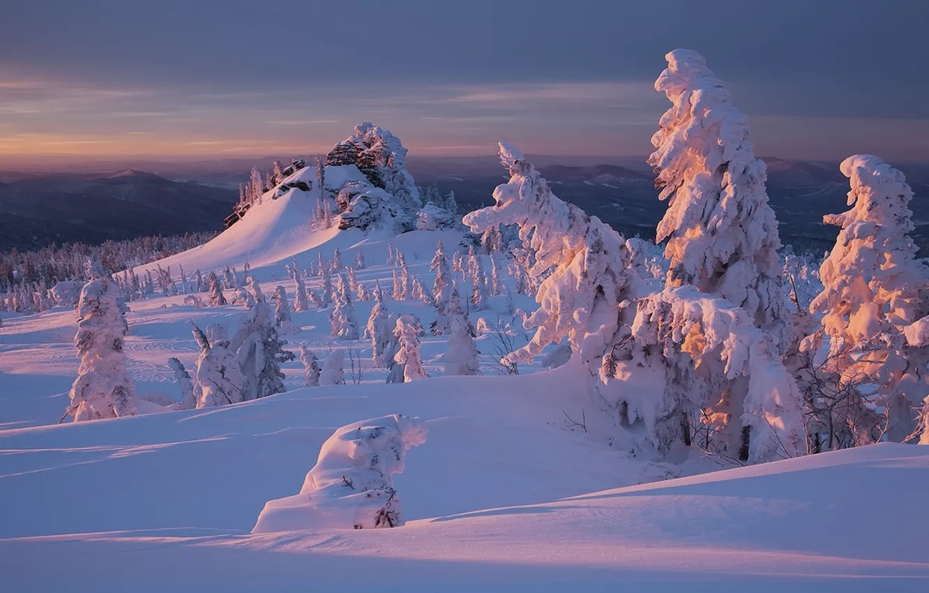 Photo wallpaper winter, forest, snow, sunset, nature