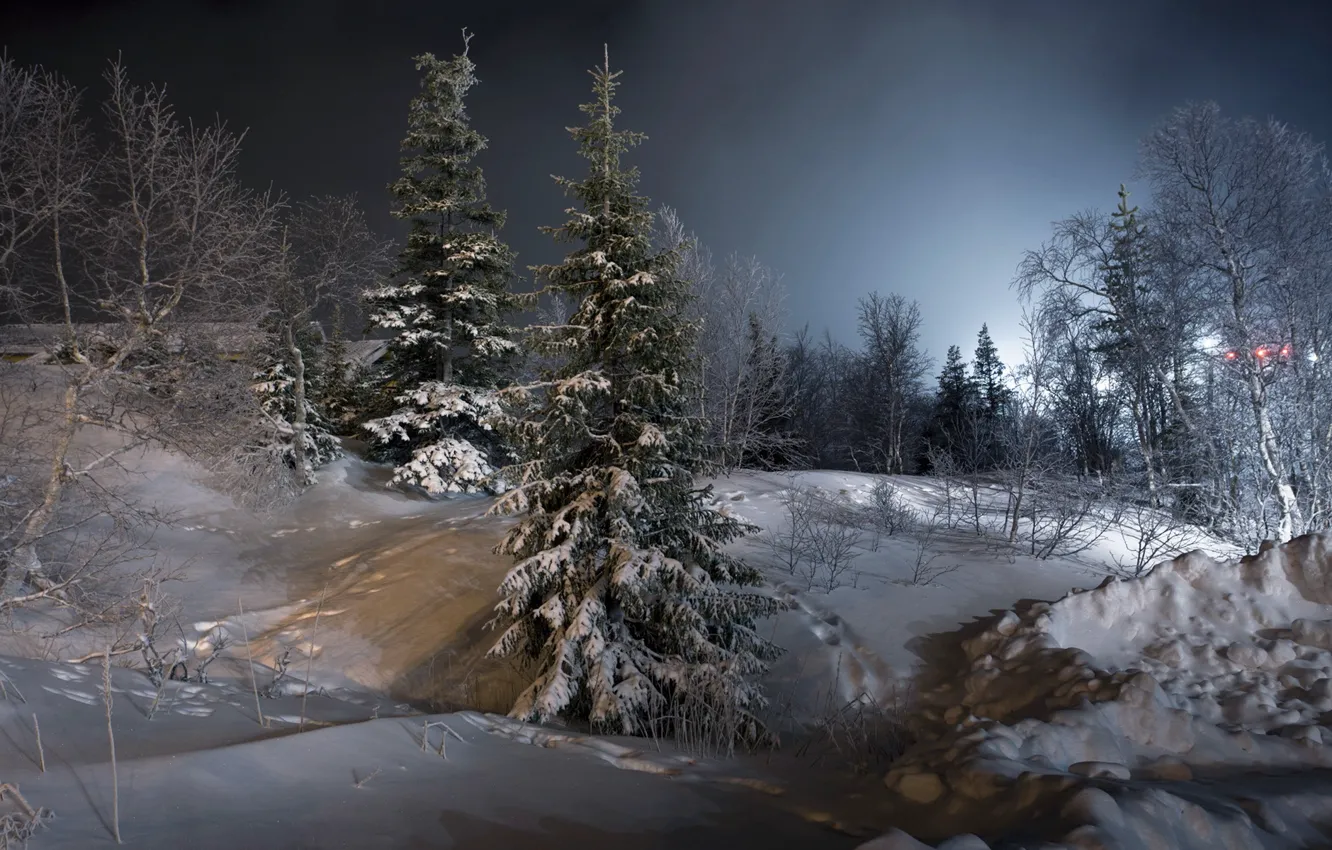Photo wallpaper winter, snow, landscape, night, tree