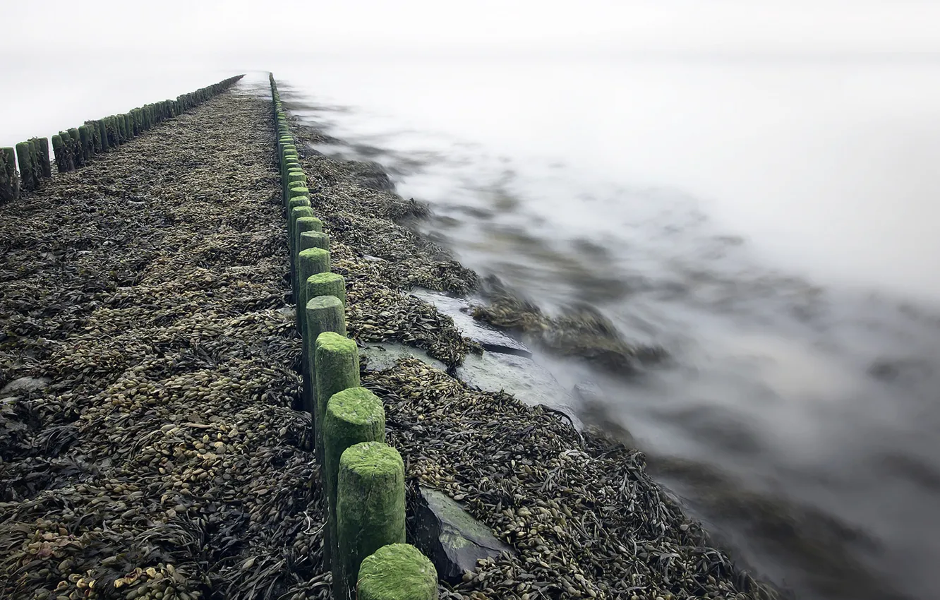Photo wallpaper sea, shore, Netherlands, Zeeuws-Vlaanderen, Zeeland, Westerschelde