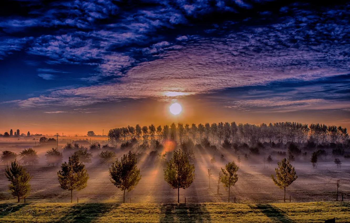 Photo wallpaper field, the sky, sunset, nature, fog