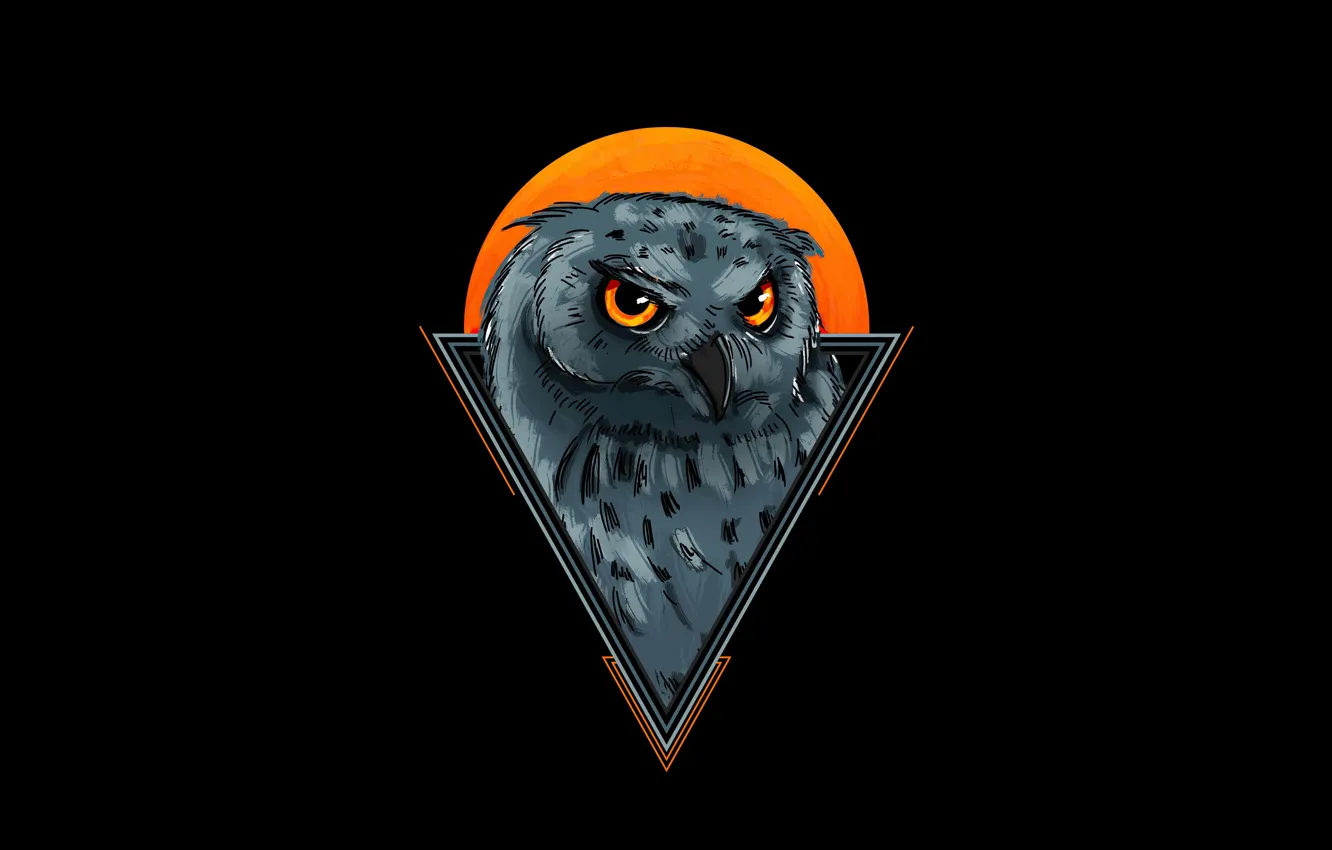 Photo wallpaper design, owl, minimalism, black background, design, black background, owl, Minimalism