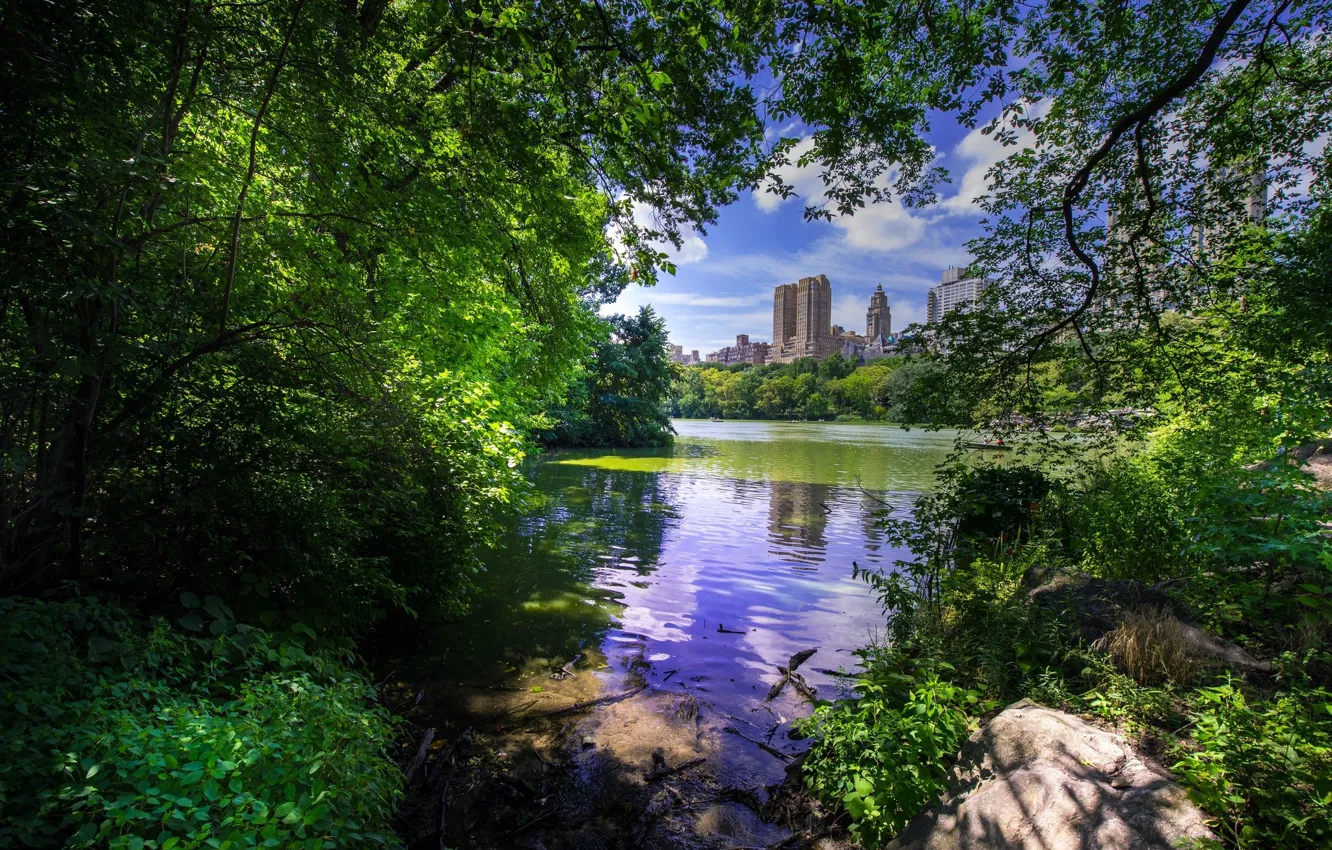 Photo wallpaper trees, landscape, lake, Central Park - New York City