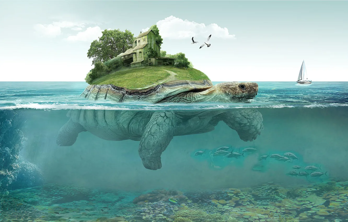 Photo wallpaper sea, turtle, sailboat, photo art