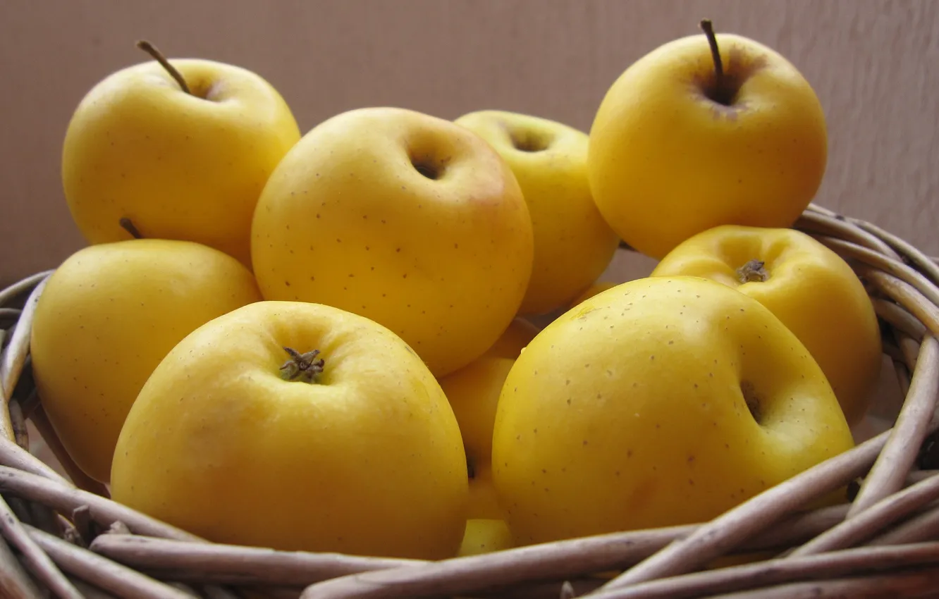 Photo wallpaper basket, Apples, yellow