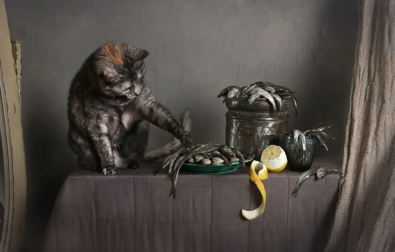 Photo wallpaper cat, cat, pose, table, wall, lemon, fish, paws
