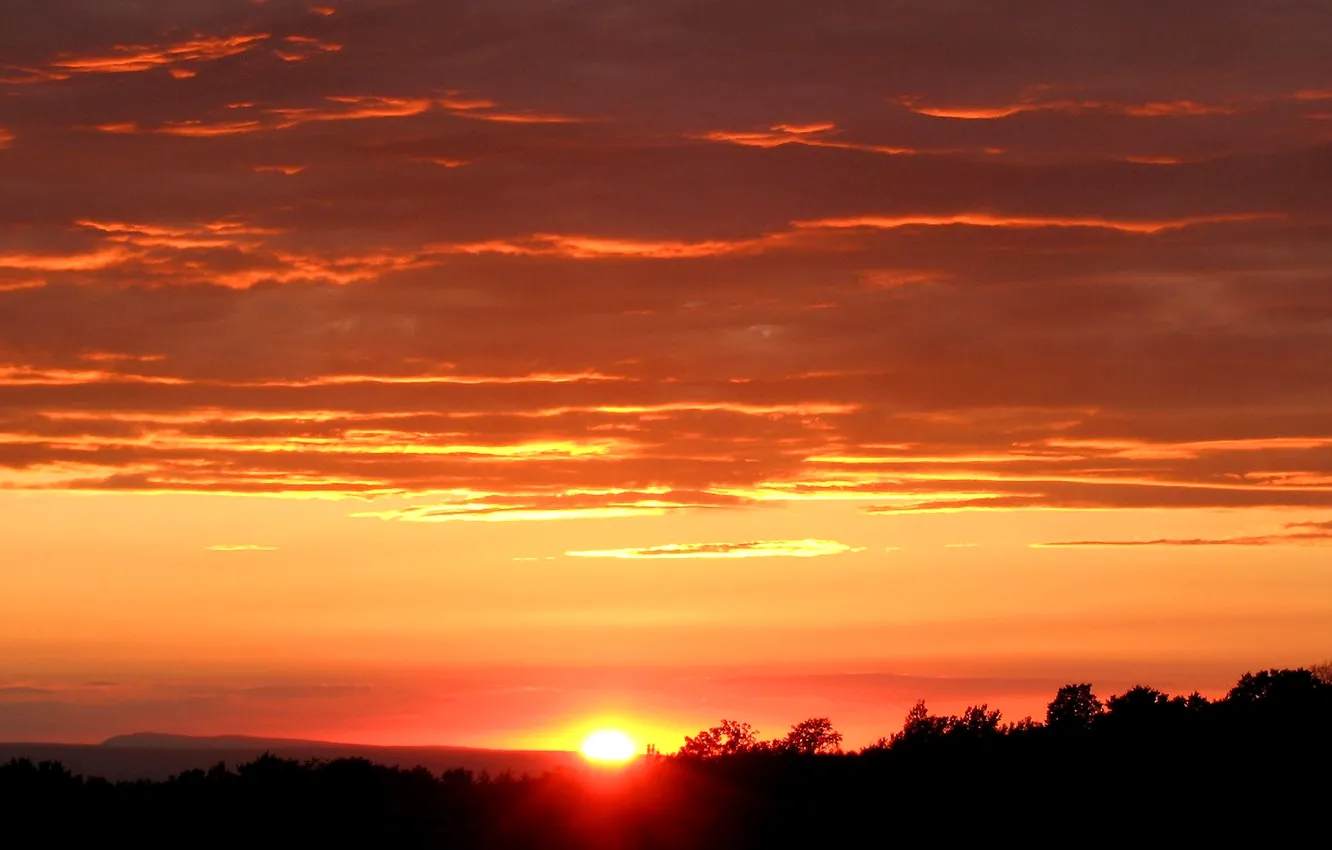 Photo wallpaper the sky, the sun, clouds, sunset, horizon
