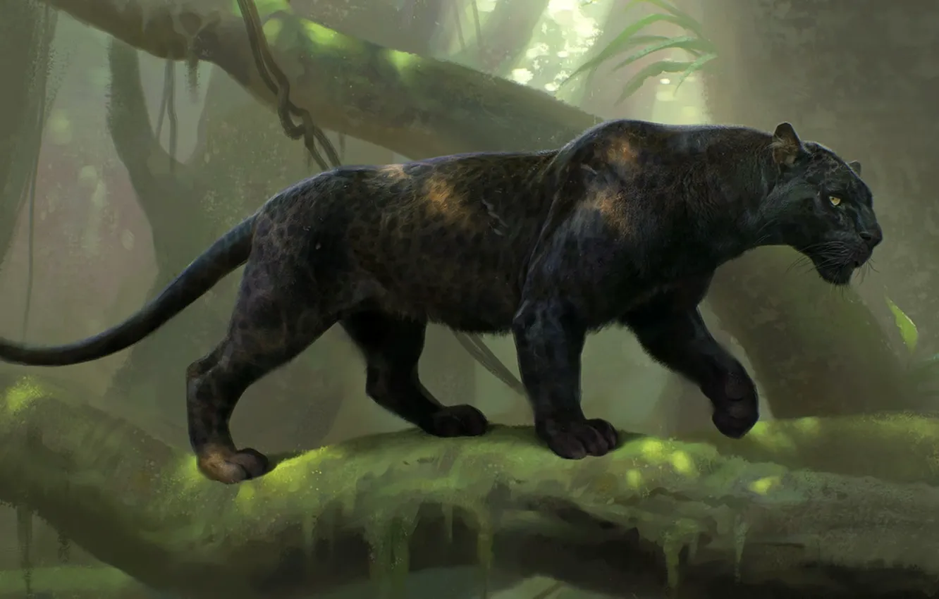 Photo wallpaper digital art, Black Panther, animal themes, panther walks on tree branch