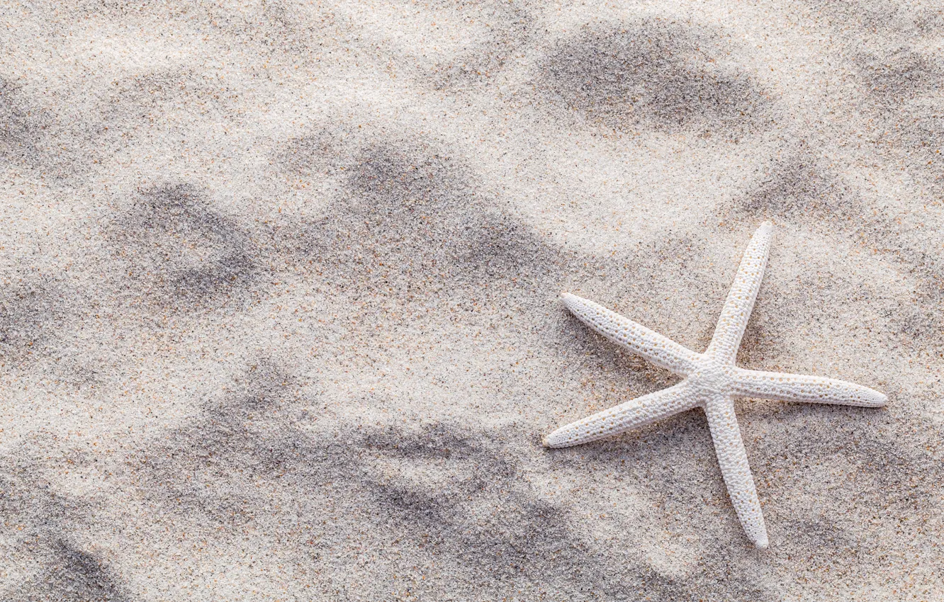 Photo wallpaper sand, beach, summer, stars, shore, summer, beach, sand