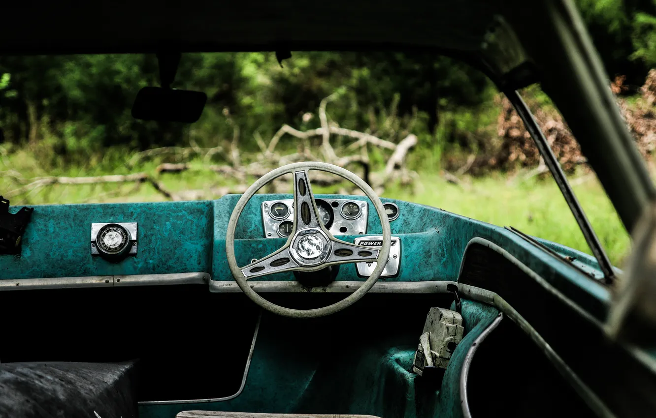 Photo wallpaper forest, the wheel, abandoned, retro car