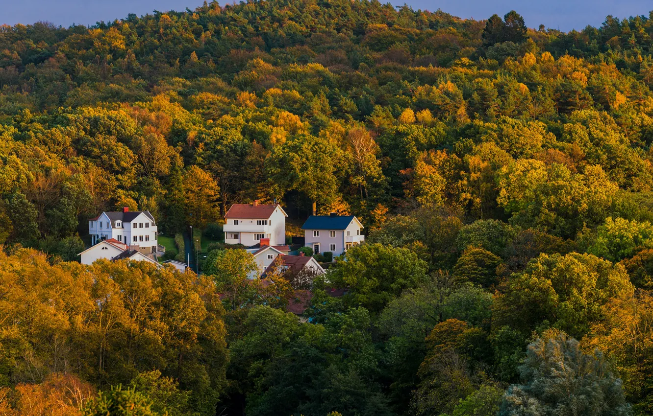 Photo wallpaper autumn, forest, the sun, trees, house, Sweden, the view from the top, Gothenburg
