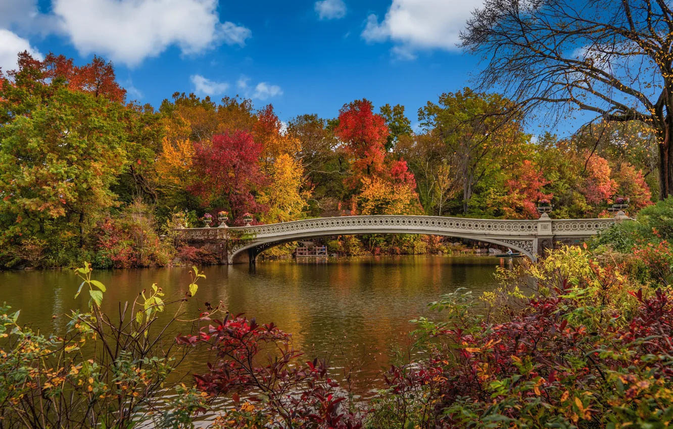Photo wallpaper autumn, trees, landscape, bridge, nature, the city, pond, Park