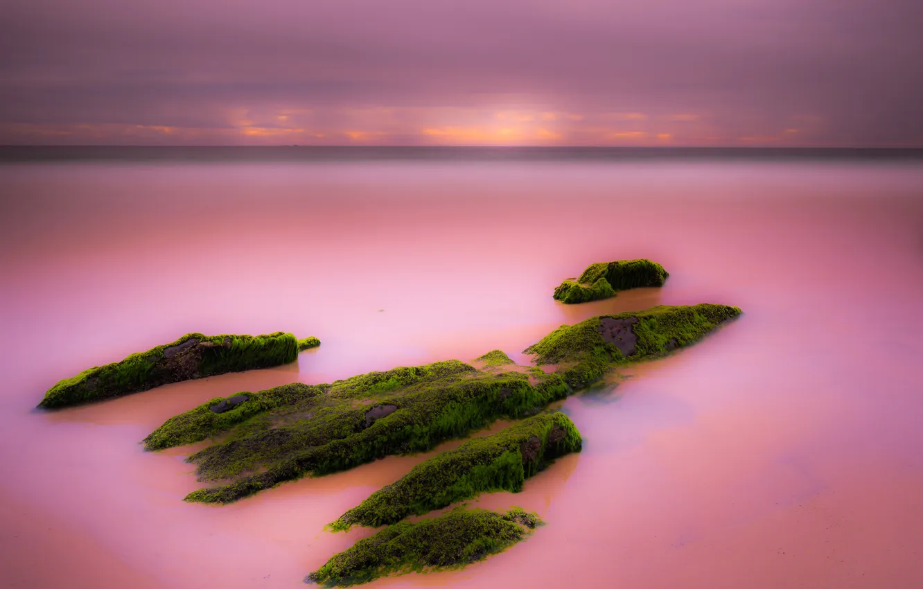 Wallpaper Sunset Stones Horizon The Sky Clouds Rocks Algae Sea