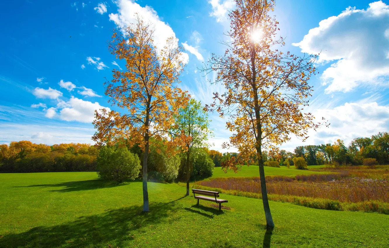 Photo wallpaper autumn, the sky, grass, trees, pond, Park, bench
