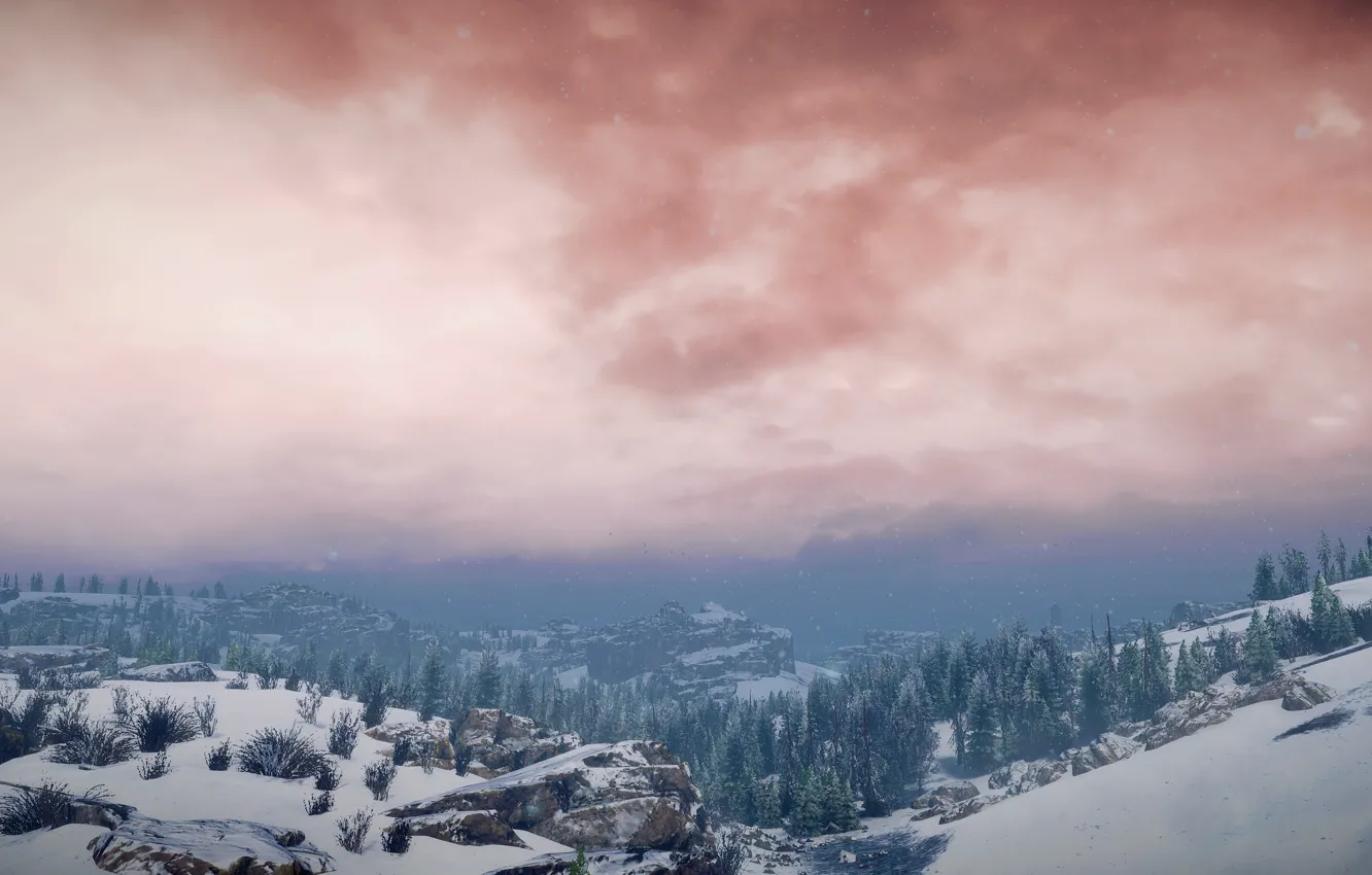 Photo wallpaper HDR, game, trees, landscape, nature, wood, winter, clouds