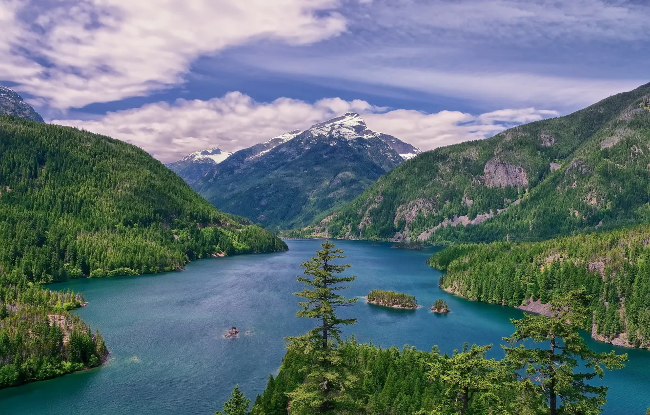 Photo wallpaper nature, lake, tree