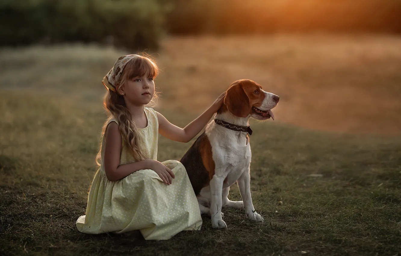 Photo wallpaper dog, dress, girl, friends, Beagle, Marina Linchuk
