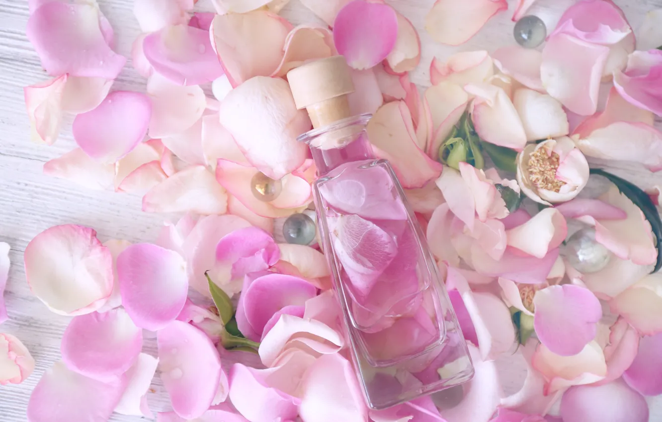 Photo wallpaper petals, rose, pink, petals, pink roses, spa, oil