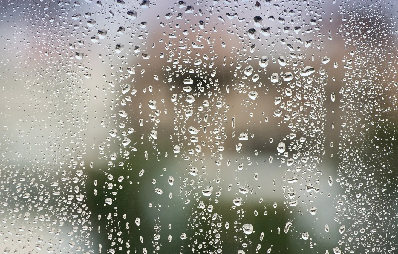 Photo wallpaper glass, water, drops, after the rain, macro