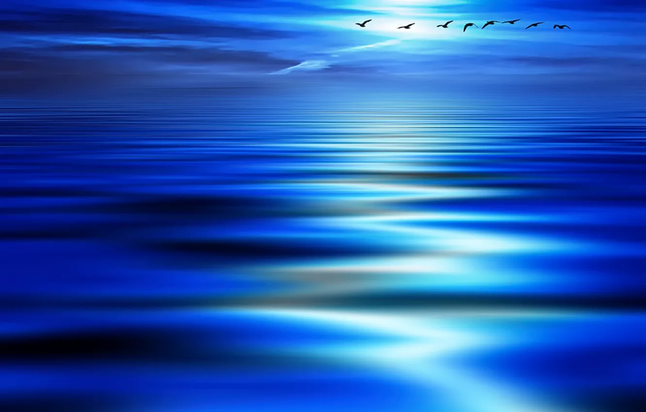Photo wallpaper wave, birds, blue