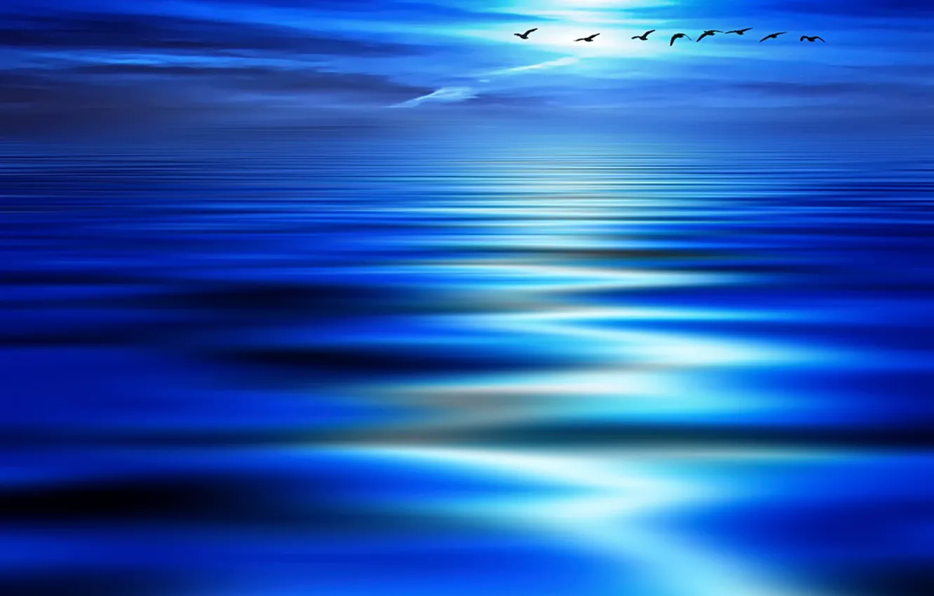 Photo wallpaper wave, blue, bird