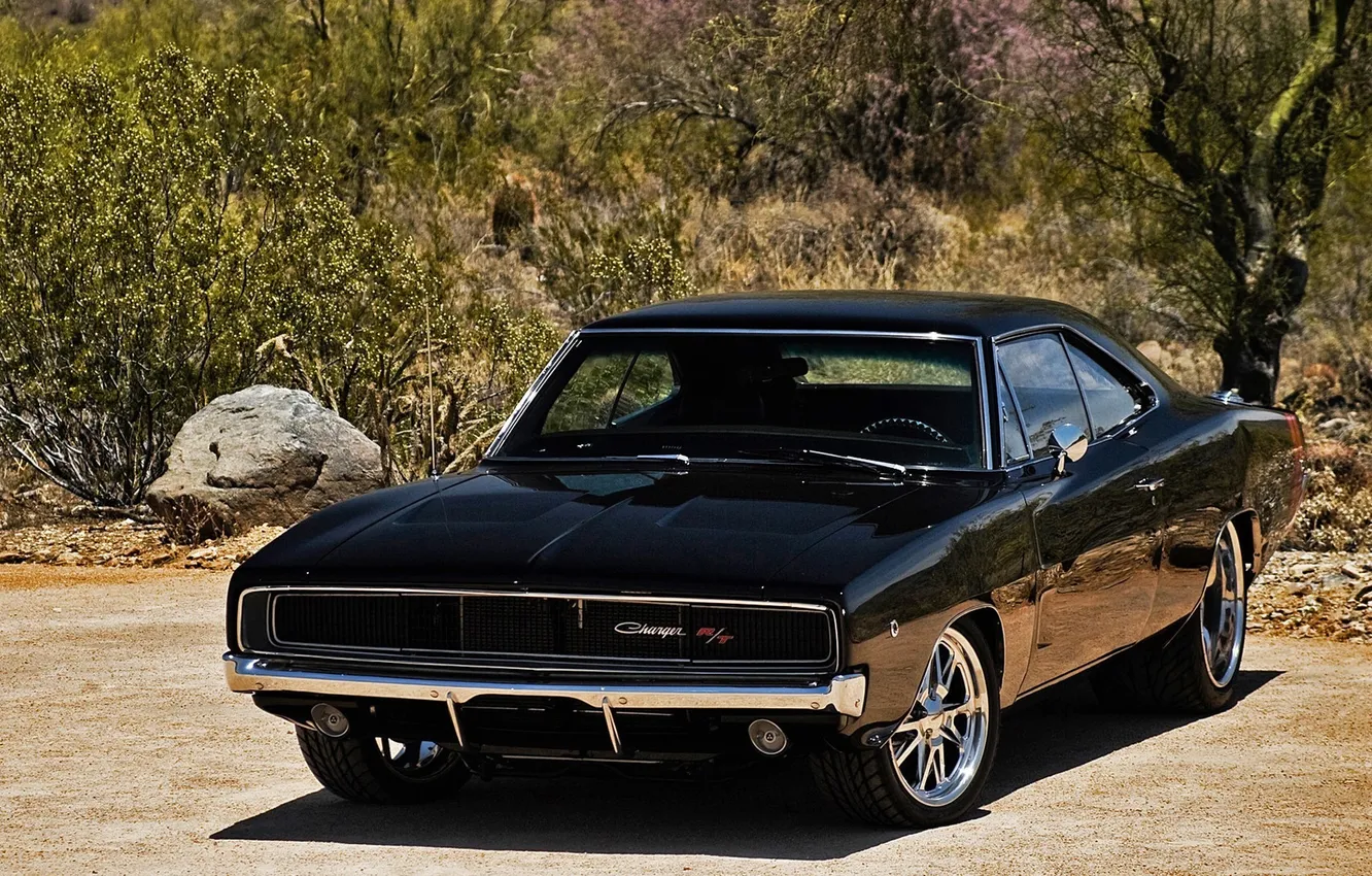 Photo wallpaper beast, flying, black