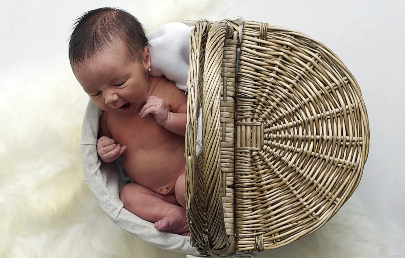 Photo wallpaper mood, basket, baby