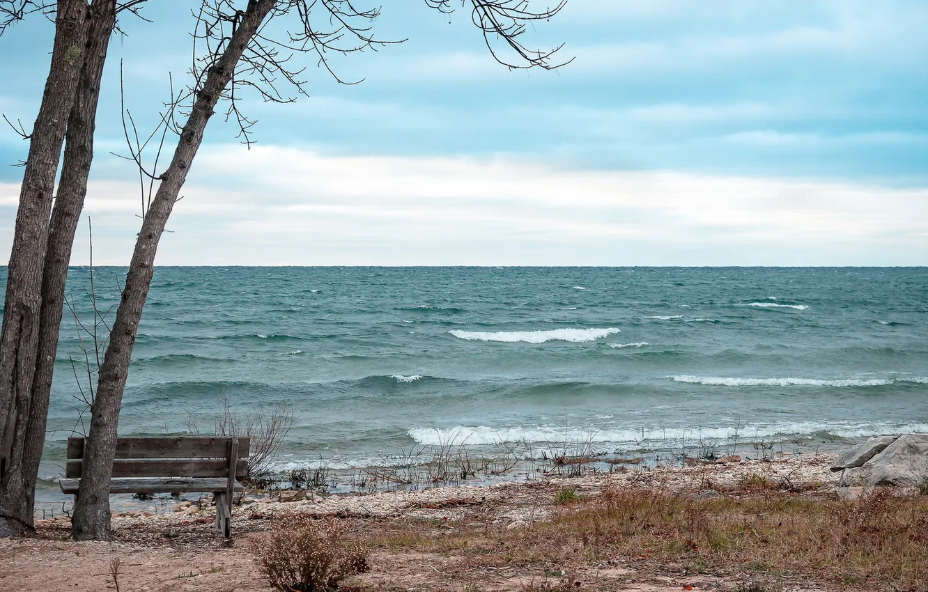 Photo wallpaper sea, nature, bench