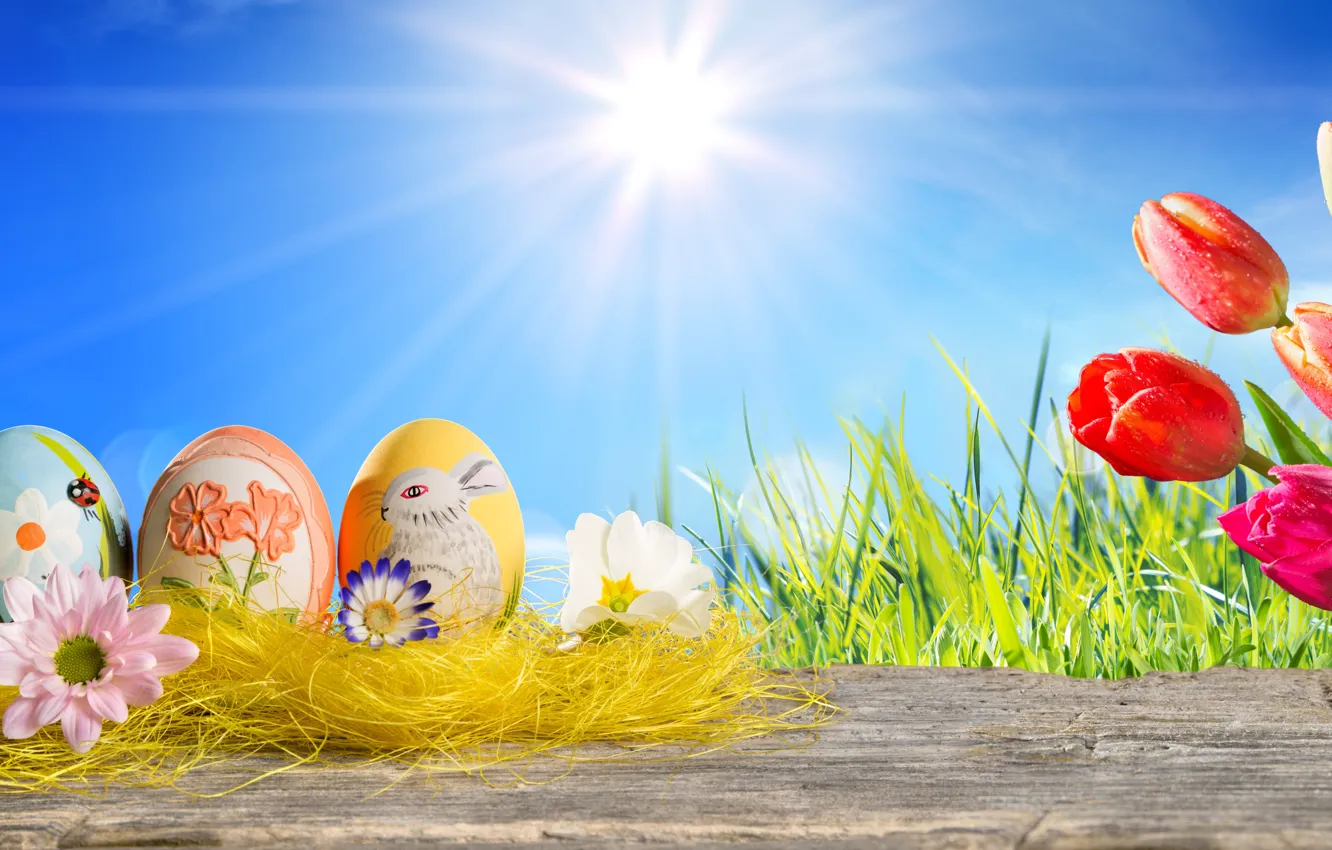 Photo wallpaper grass, the sun, flowers, eggs, spring, Easter, tulips, sunshine