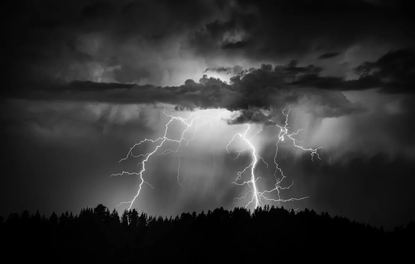 Photo wallpaper forest, the sky, night, clouds, lightning
