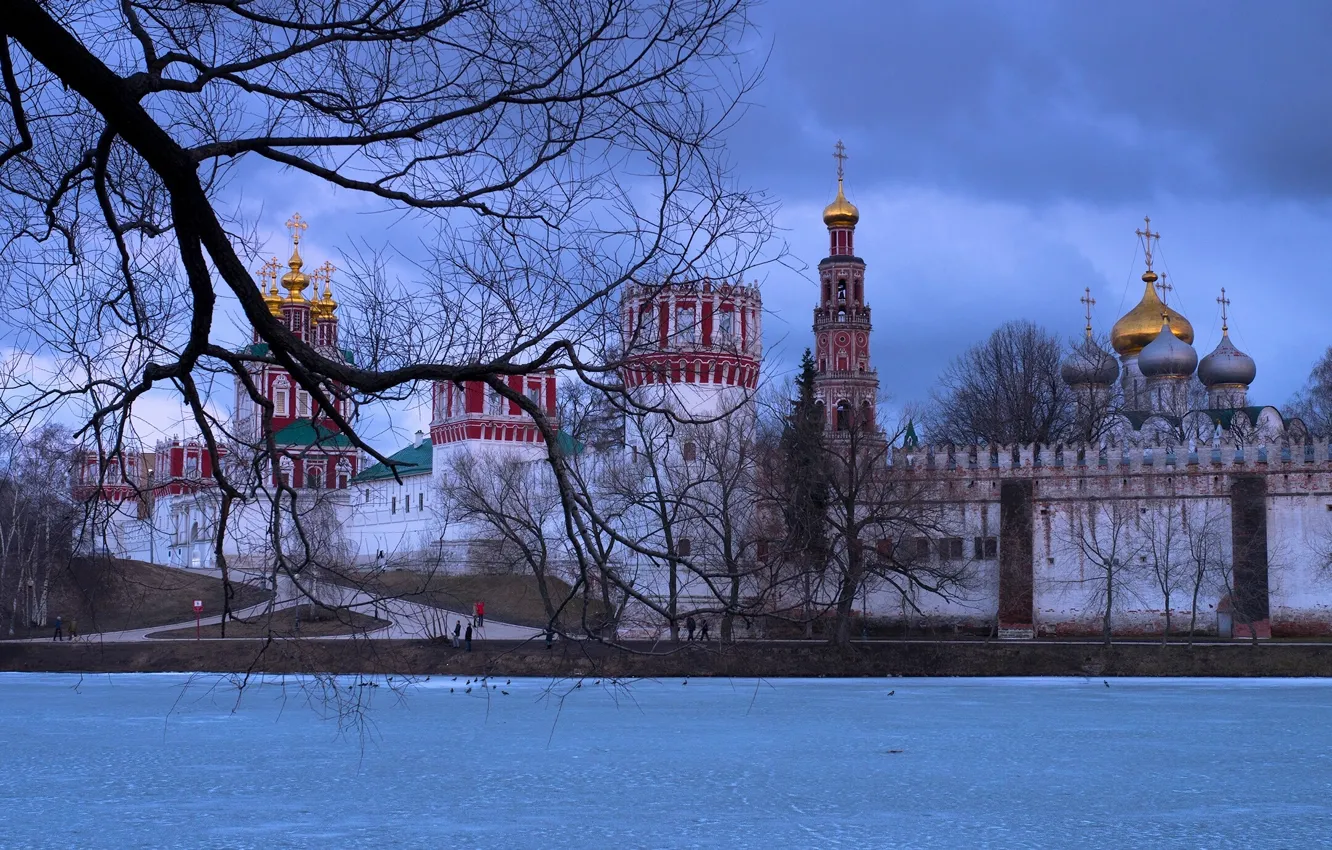 Photo wallpaper winter, branches, river, tree, Moscow, Russia, the monastery, The Moscow river