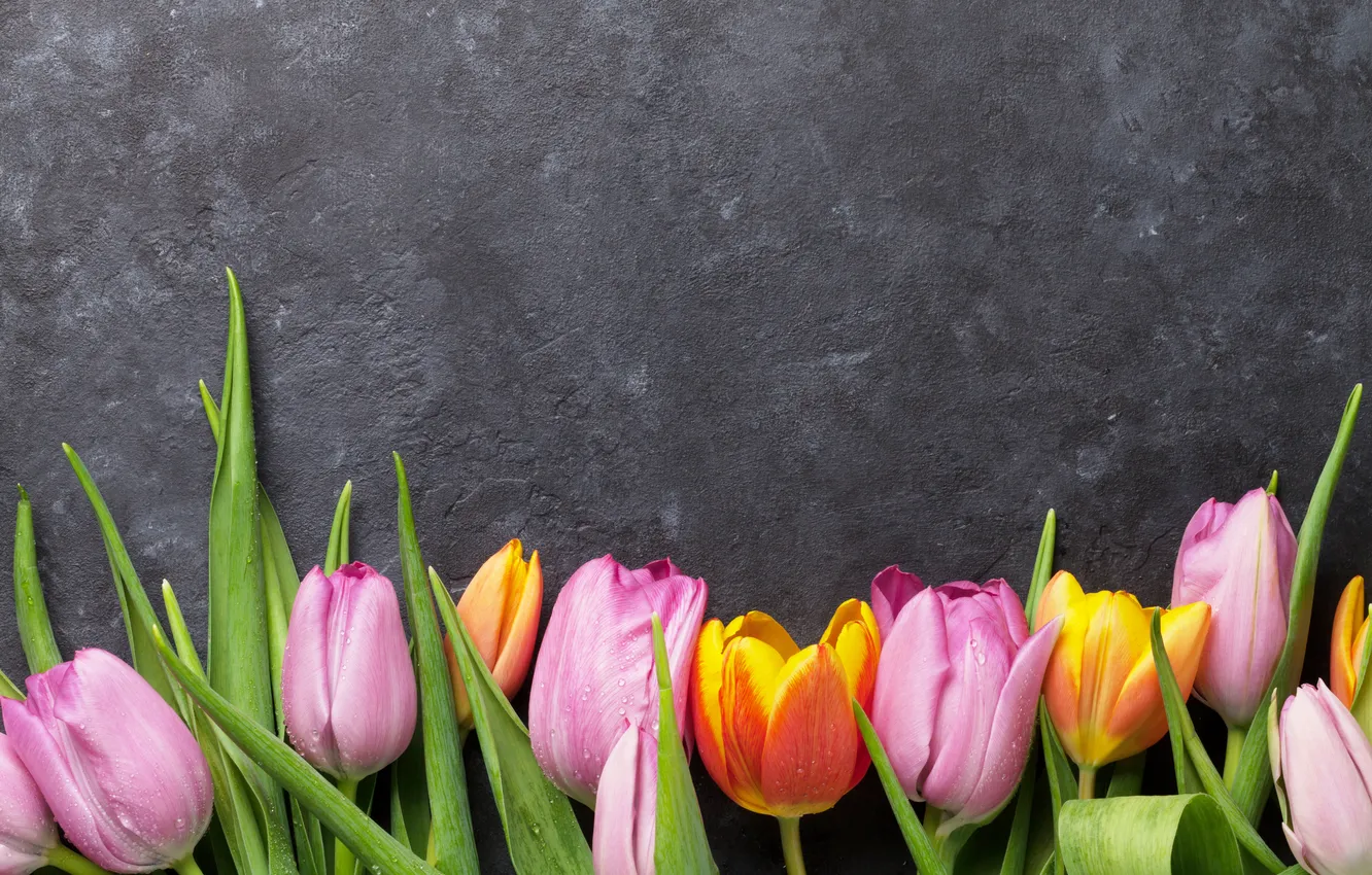 Photo wallpaper flowers, bouquet, colorful, tulips, pink, flowers, tulips, spring