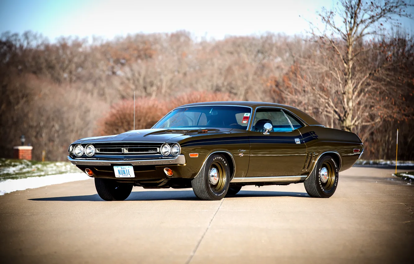 Photo wallpaper 1971, Dodge, Challenger, Dodge, Challenger, Hemi, R/T, 426/425 HP