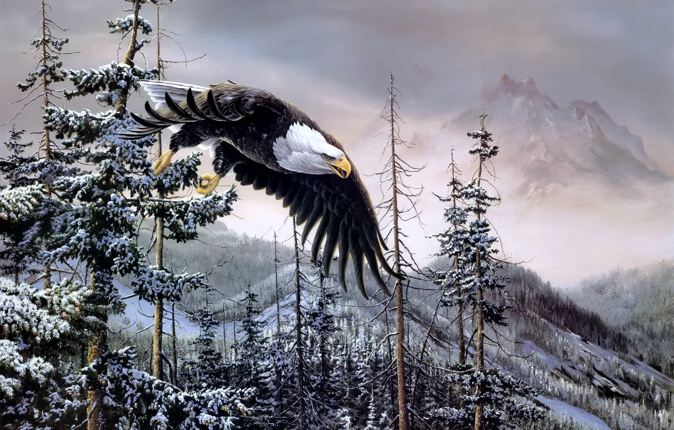 Photo wallpaper winter, forest, mountains, birds, eagle, spruce, painting, bald eagle