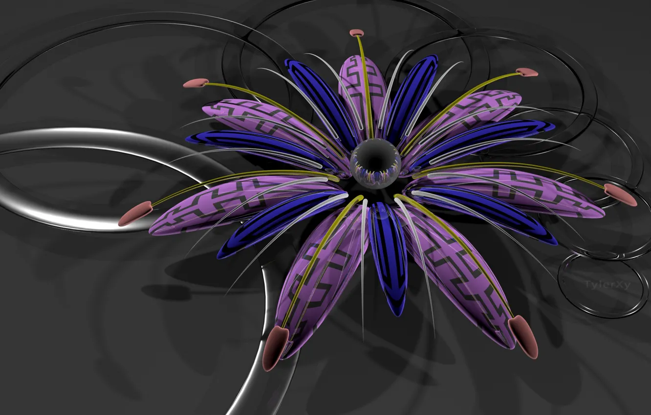 Photo wallpaper flower, background, 3D graphics