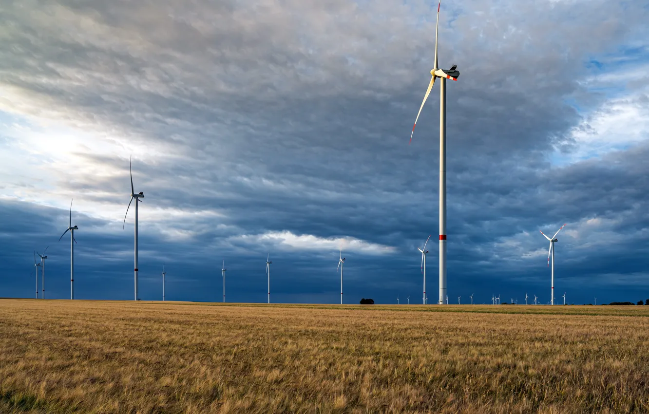 Photo wallpaper field, the sky, windmills