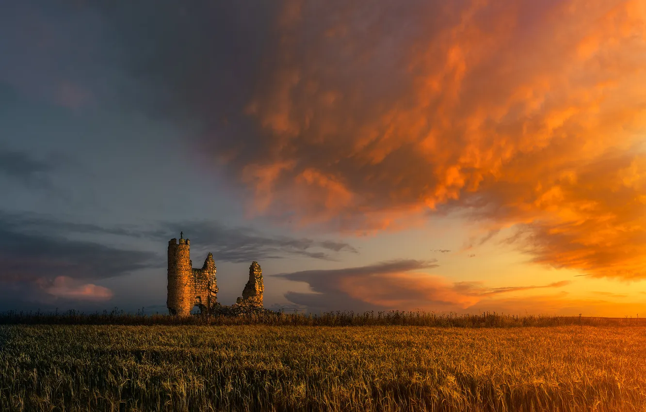 Photo wallpaper field, clouds, sunset, castle, ruins