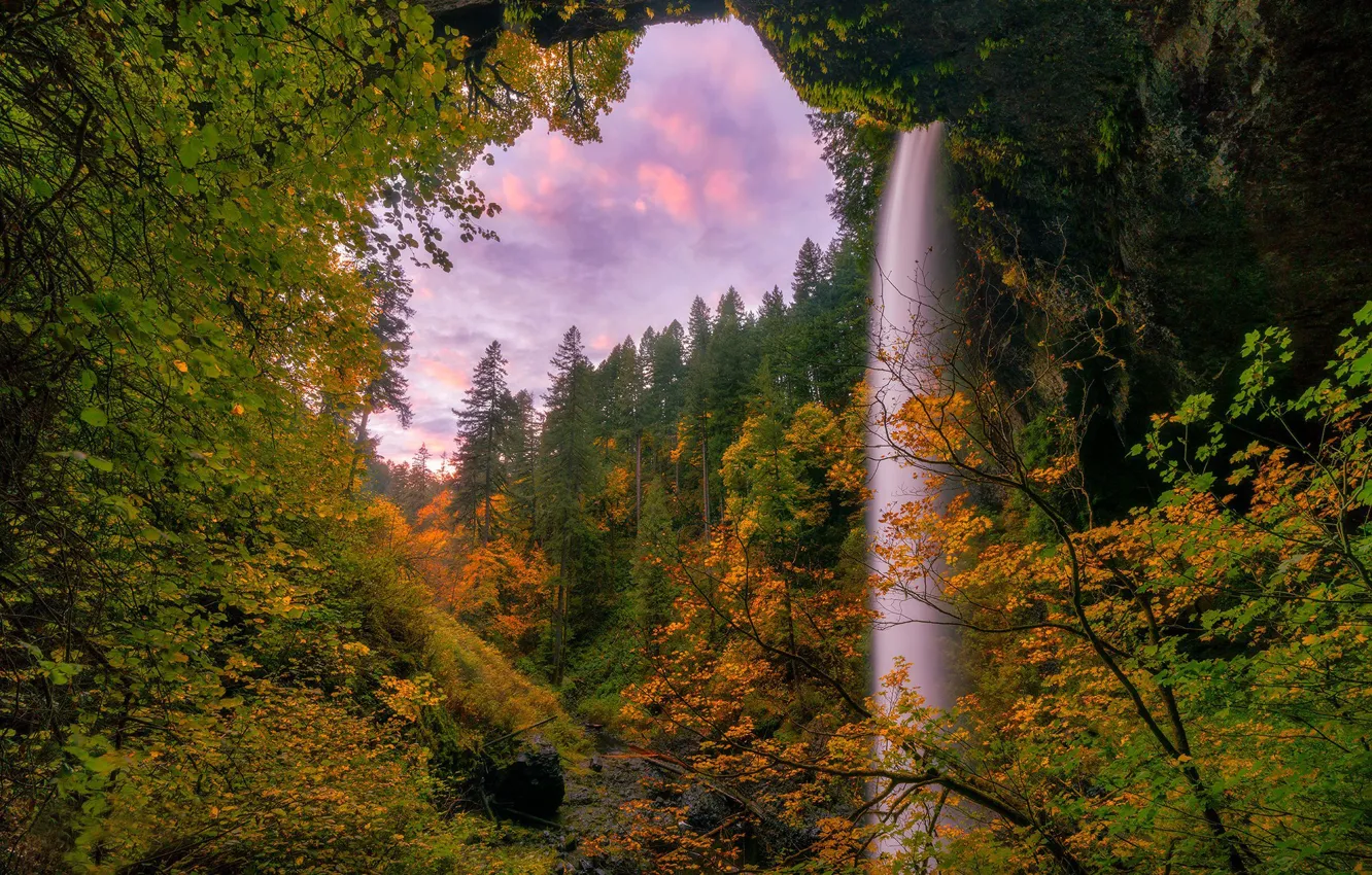 Photo wallpaper autumn, forest, trees, waterfall, Oregon, Oregon, Silver Falls State Park, South Falls