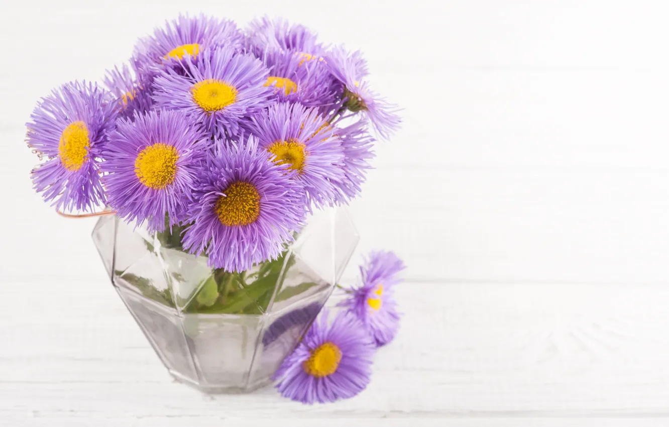 Photo wallpaper purple, flowers, bouquet, vase, Daisy