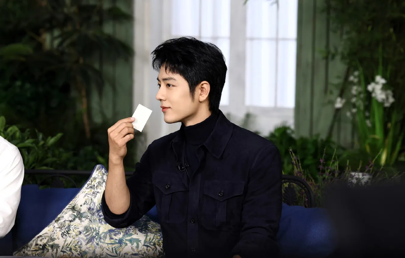 Photo wallpaper flowers, sofa, model, leaf, pillow, window, China, actor