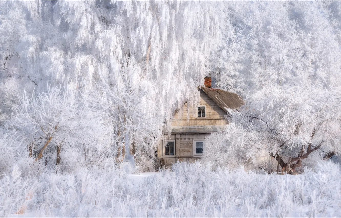 Photo wallpaper winter, frost, forest, snow, nature, branch, house