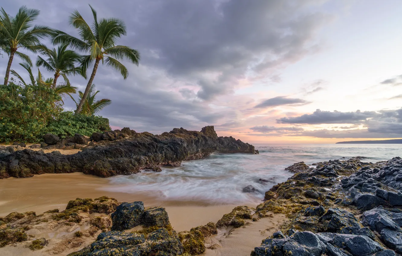 Photo wallpaper stones, palm trees, the ocean, shore, Hawaii, sunrise, Hawaii, sunrise
